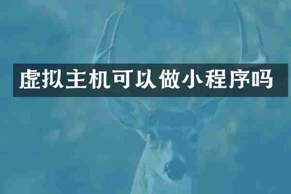 虚拟主机可以做小程序吗