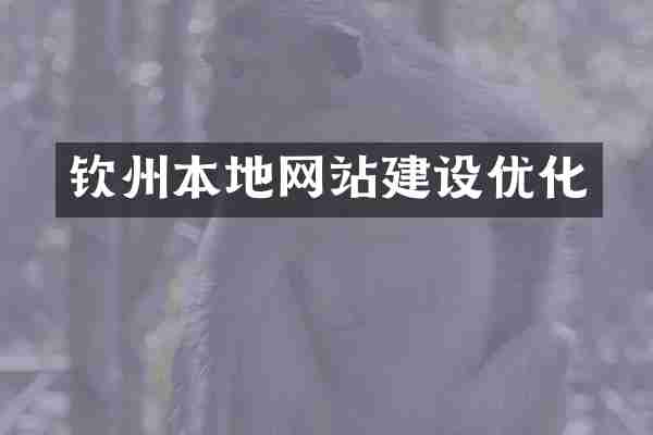 钦州本地网站建设优化