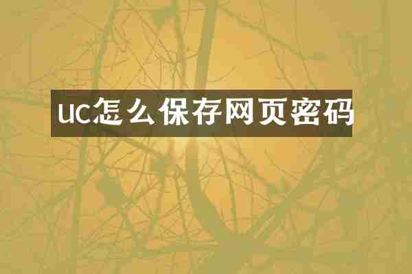 uc怎么保存网页密码