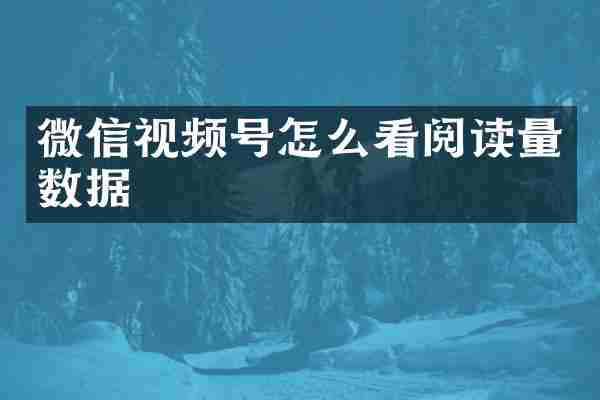 微信视频号怎么看阅读量数据