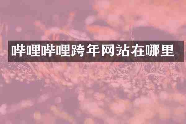 哔哩哔哩跨年网站在哪里