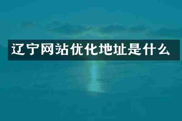 辽宁网站优化地址是什么