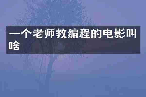 一个老师教编程的电影叫啥