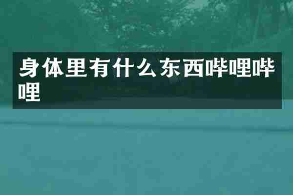 身体里有什么东西哔哩哔哩