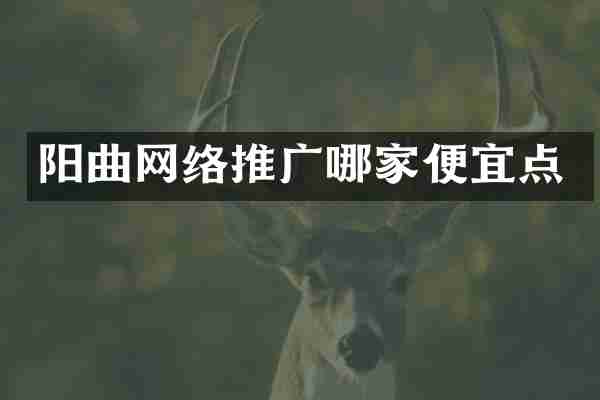阳曲网络推广哪家便宜点