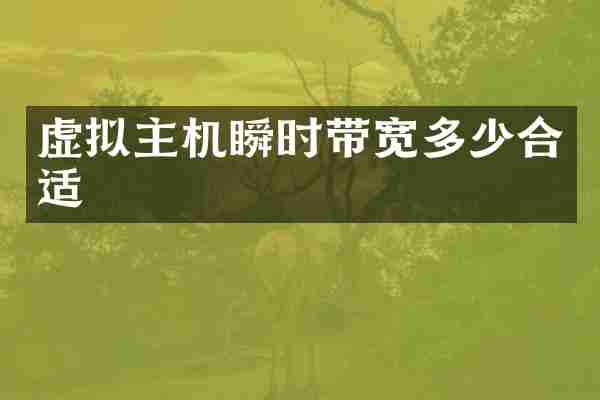 虚拟主机瞬时带宽多少合适