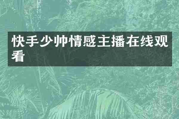 快手少帅情感主播在线观看