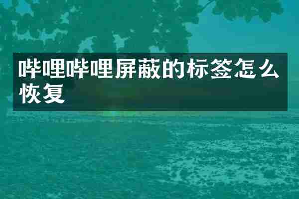哔哩哔哩屏蔽的标签怎么恢复