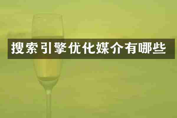 搜索引擎优化媒介有哪些