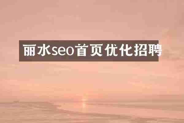 丽水seo首页优化招聘