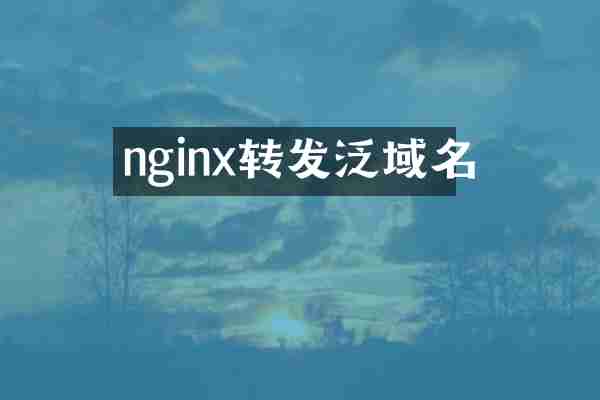 nginx转发泛域名