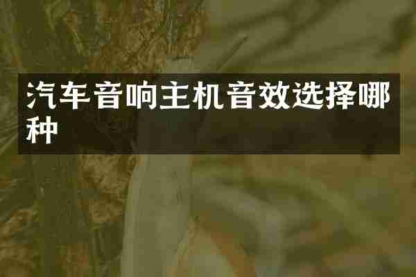 汽车音响主机音效选择哪种