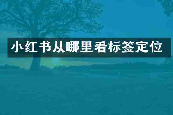小红书从哪里看标签定位