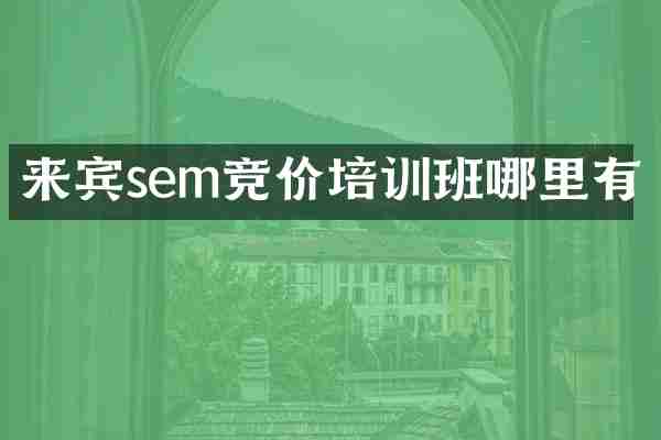 来宾sem竞价培训班哪里有