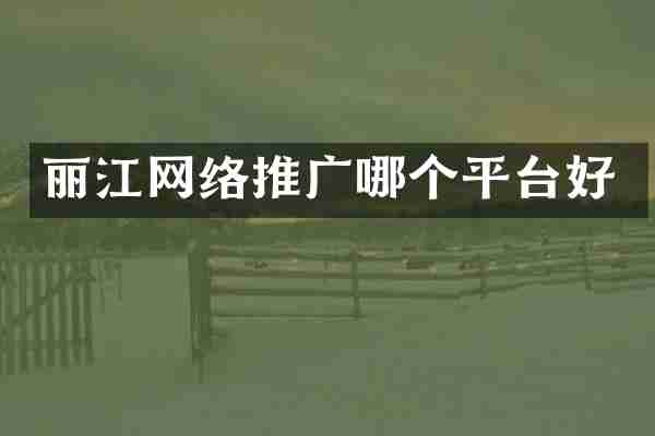 丽江网络推广哪个平台好