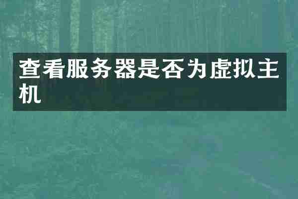 查看服务器是否为虚拟主机