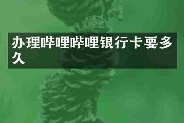 办理哔哩哔哩银行卡要多久