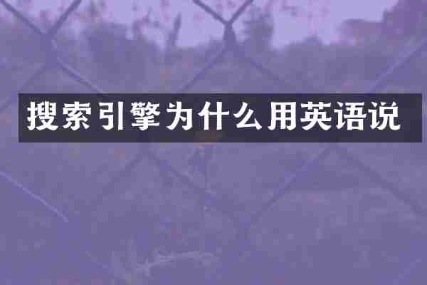 搜索引擎为什么用英语说