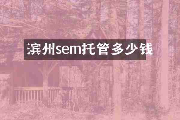 滨州sem托管多少钱