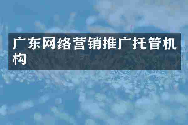 广东网络营销推广托管机构