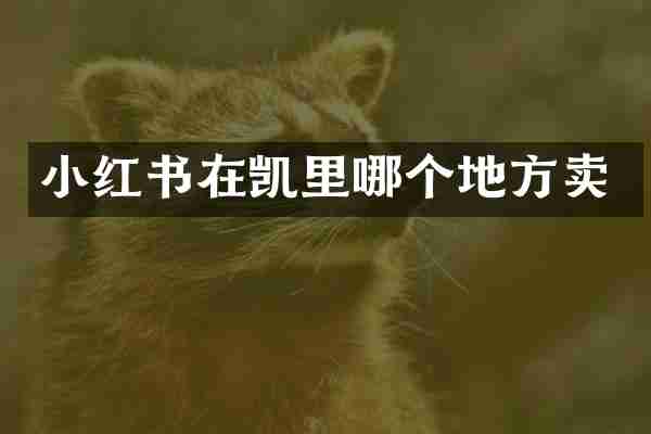 小红书在凯里哪个地方卖