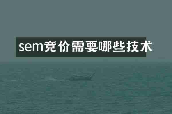 sem竞价需要哪些技术