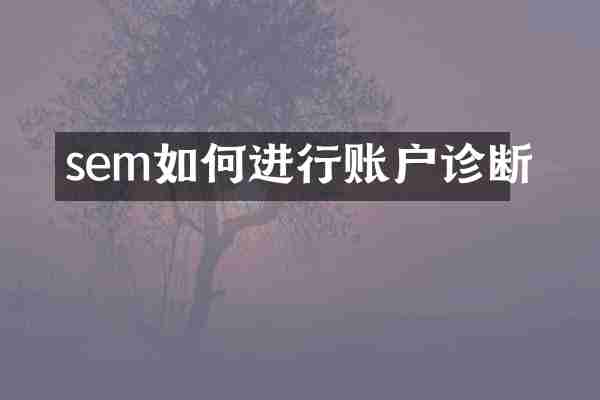 sem如何进行账户诊断