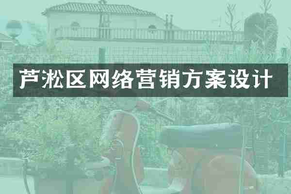 芦淞区网络营销方案设计