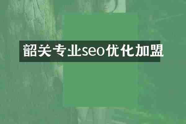 韶关专业seo优化加盟