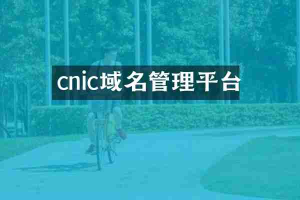 cnic域名管理平台