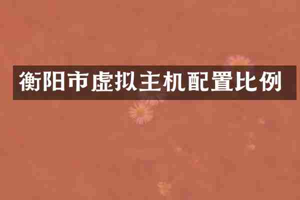 衡阳市虚拟主机配置比例