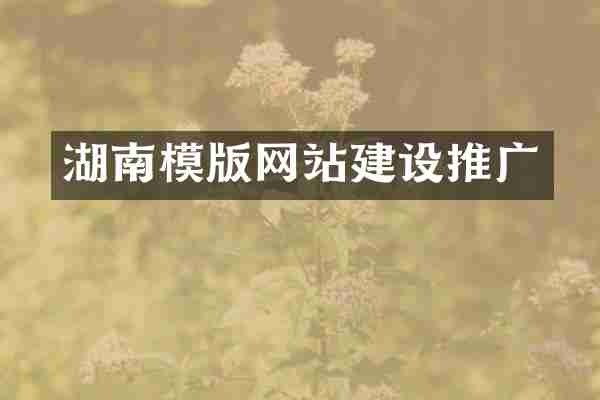 湖南模版网站建设推广