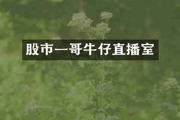 股市一哥牛仔直播室
