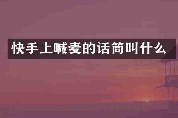 快手上喊麦的话筒叫什么