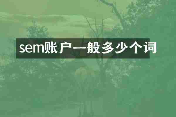 sem账户一般多少个词