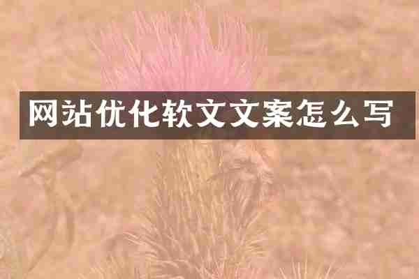 网站优化软文文案怎么写