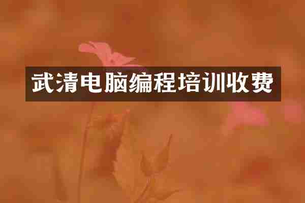 武清电脑编程培训收费