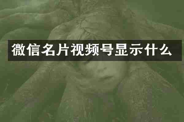 微信名片视频号显示什么