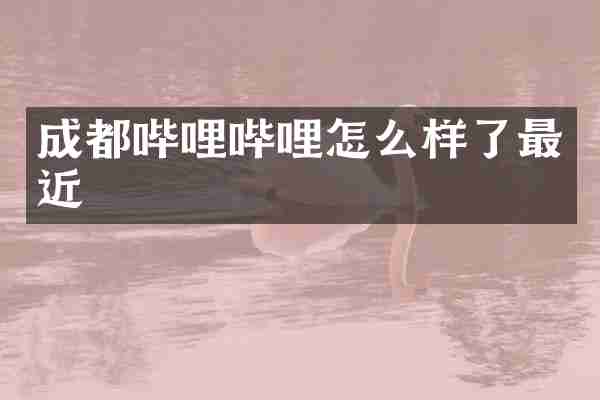 成都哔哩哔哩怎么样了最近