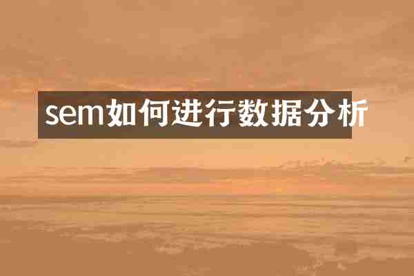 sem如何进行数据分析