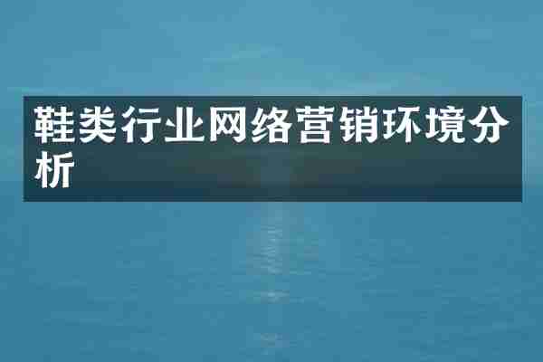 鞋类行业网络营销环境分析