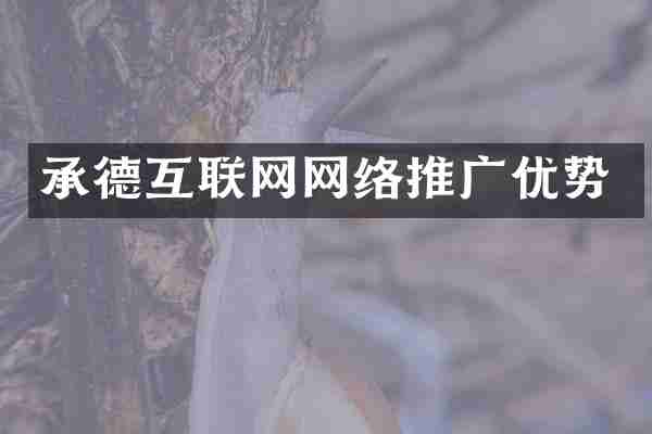 承德互联网网络推广优势