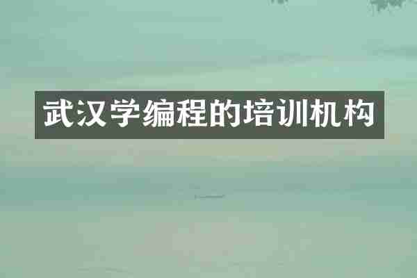武汉学编程的培训机构