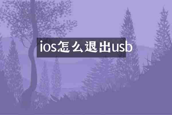 ios怎么退出usb