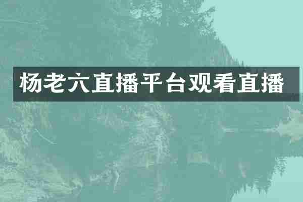 杨老六直播平台观看直播