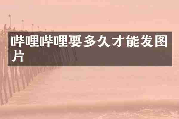 哔哩哔哩要多久才能发图片