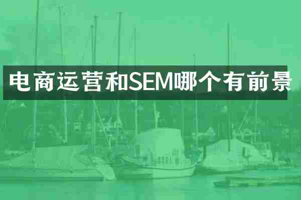 电商运营和SEM哪个有前景