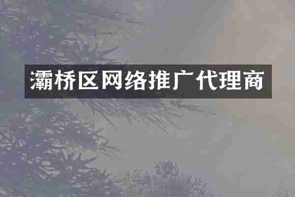 灞桥区网络推广代理商