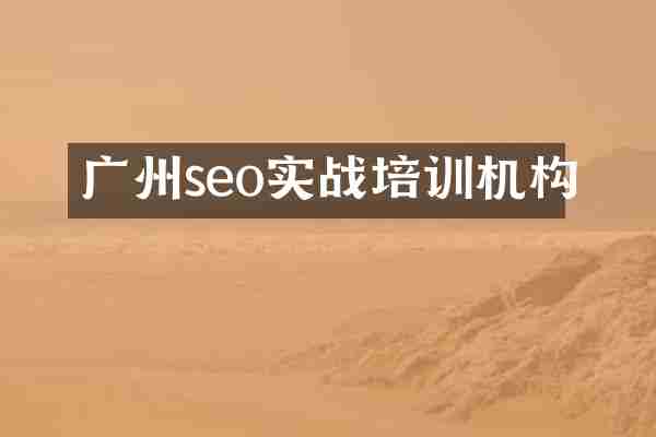 广州seo实战培训机构