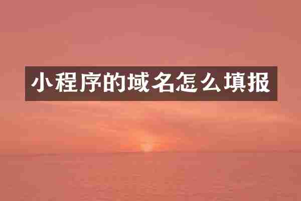 小程序的域名怎么填报